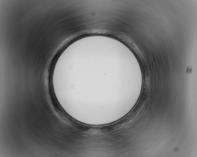 X0000103260534200808291045