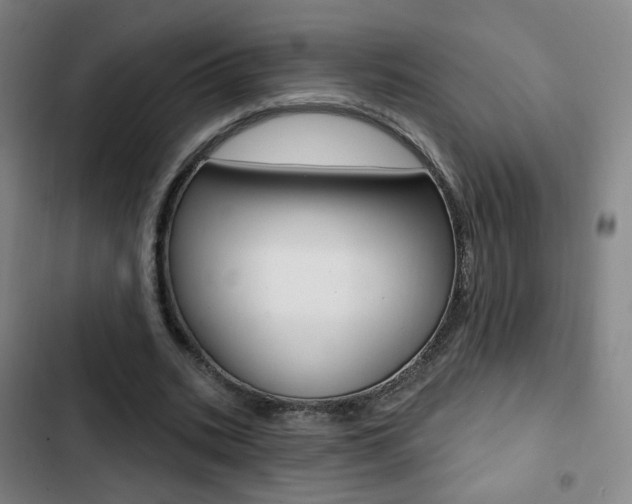 X0000103260535200808291045
