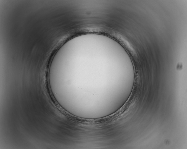 X0000103260537200808291045