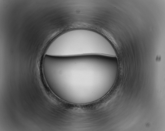 X0000103260538200808291045