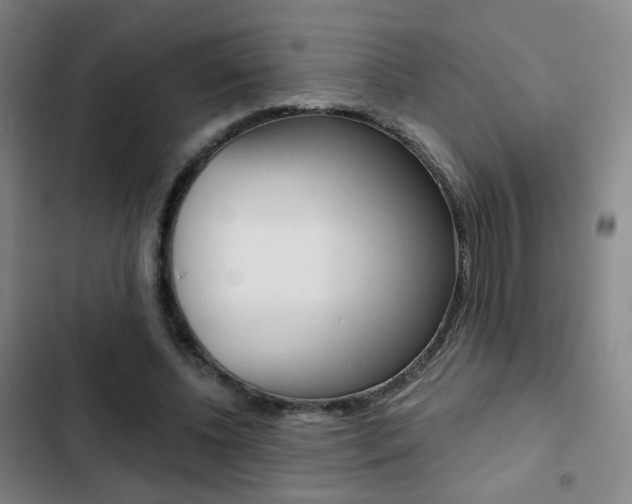 X0000103260540200808291045