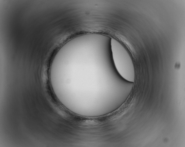 X0000103260541200808291045