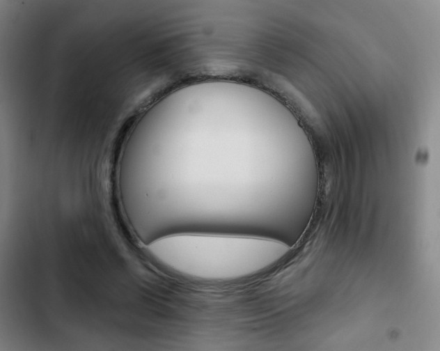 X0000103260542200808291045