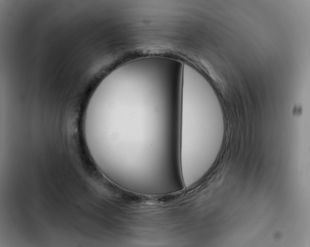 X0000103260543200808291045