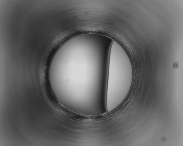 X0000103260544200808291045