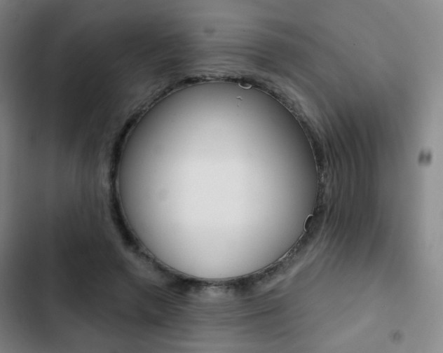 X0000103260546200808291045