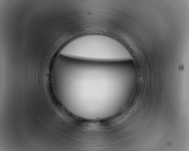 X0000103260548200808291045