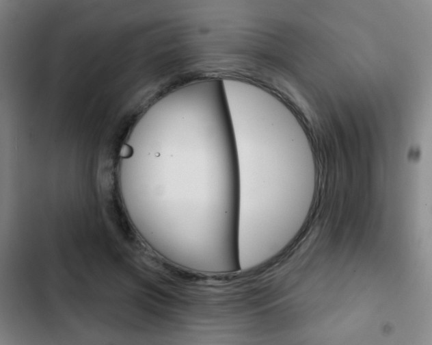 X0000103260549200808291045