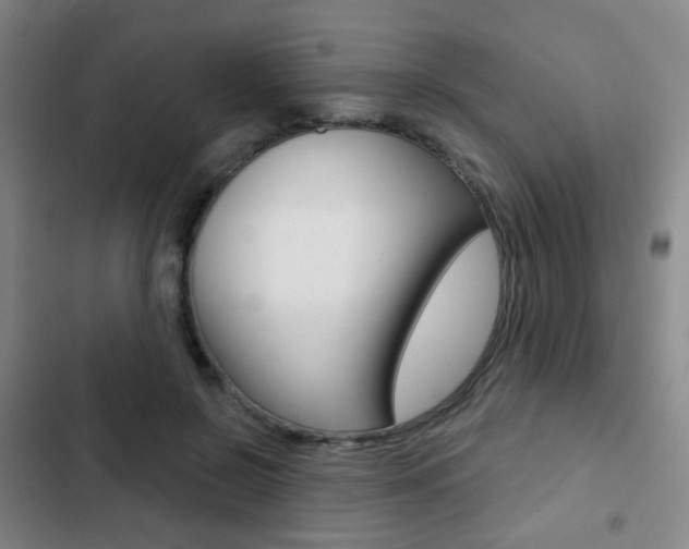 X0000103260550200808291045