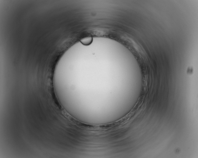 X0000103260553200808291045