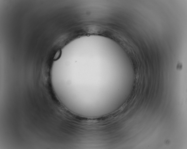 X0000103260554200808291045