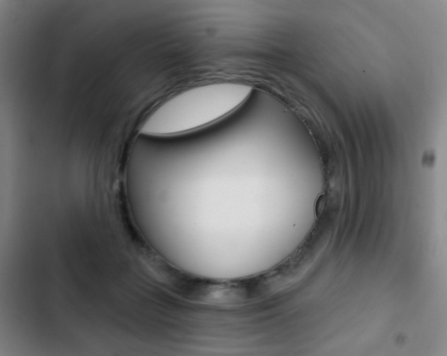 X0000103260555200808291045