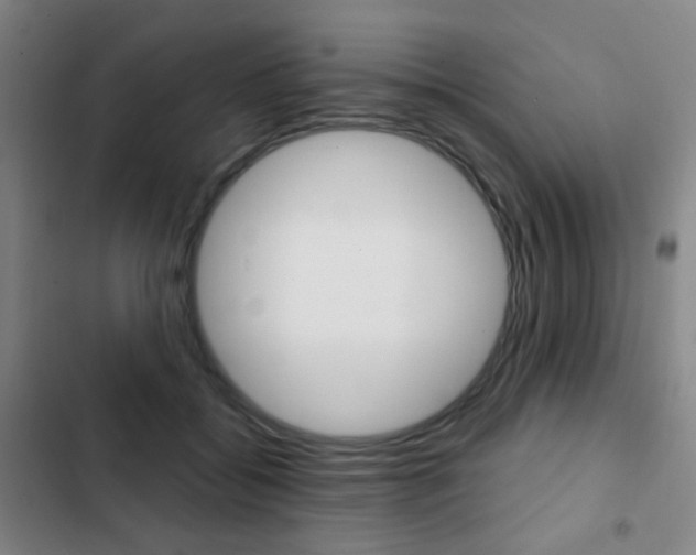 X0000103260556200808291045