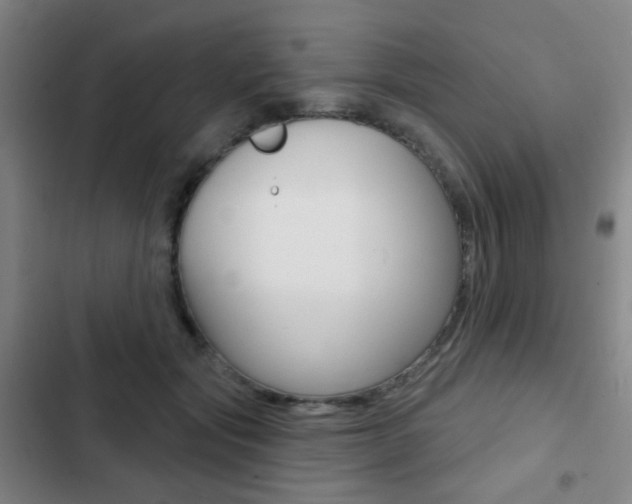 X0000103260557200808291045