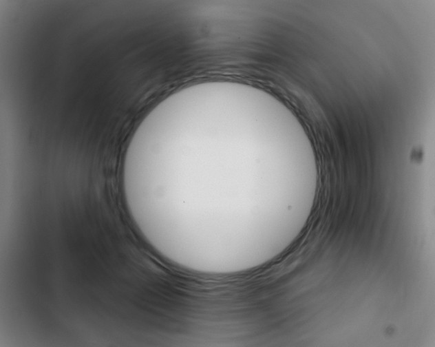 X0000103260558200808291045
