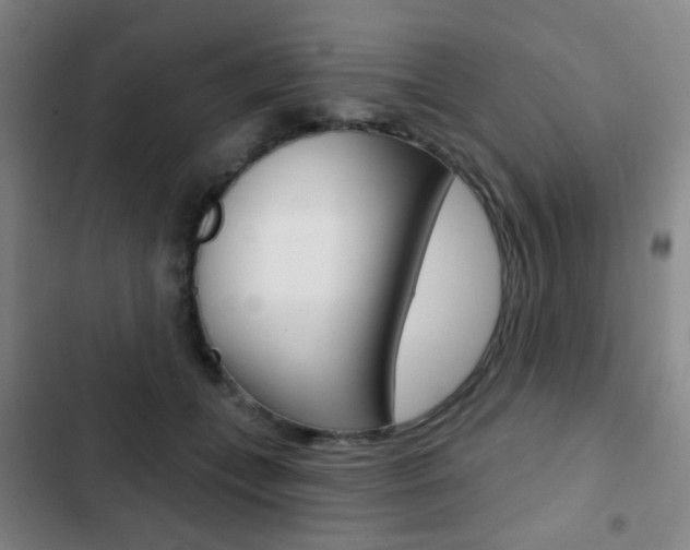 X0000103260559200808291045
