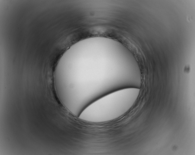 X0000103260561200808291045