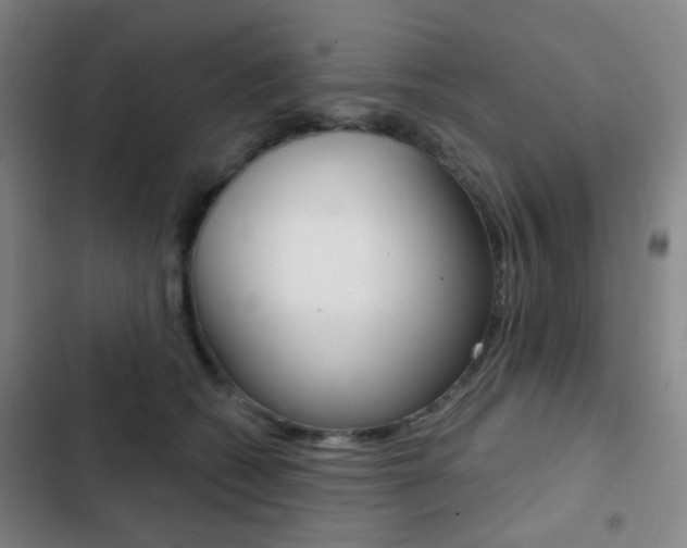X0000103260562200808291045