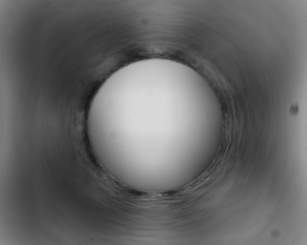 X0000103260563200808291045