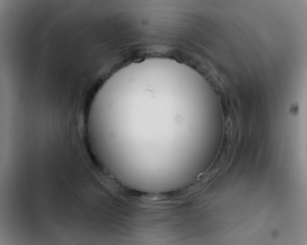 X0000103260564200808291045