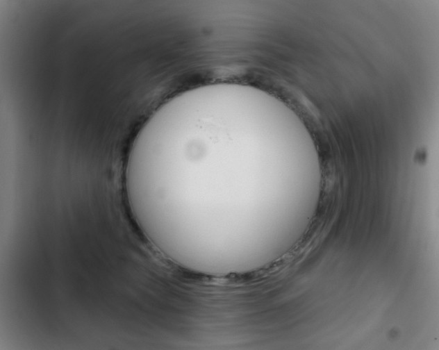 X0000103260565200808291045