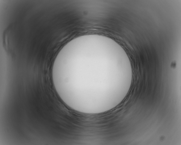 X0000103260566200808291045