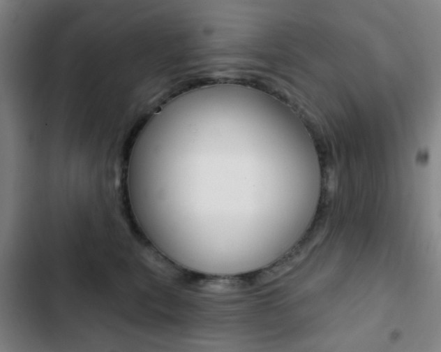X0000103260567200808291045
