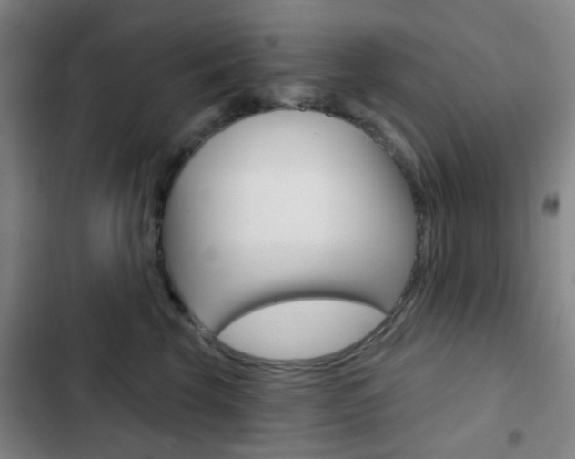 X0000103260569200808291045