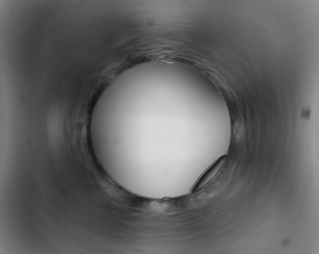 X0000103260570200808291045