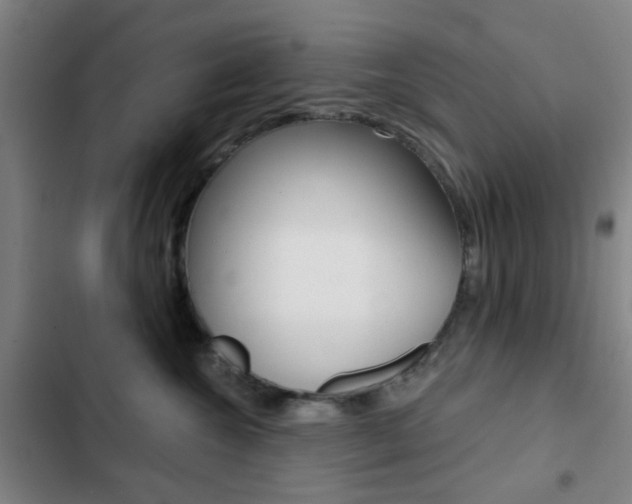 X0000103260572200808291045