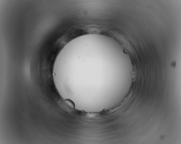 X0000103260573200808291045