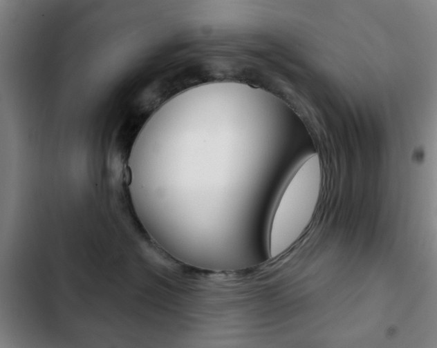 X0000103260574200808291045