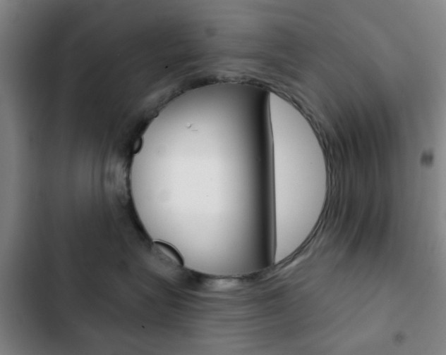 X0000103260575200808291045