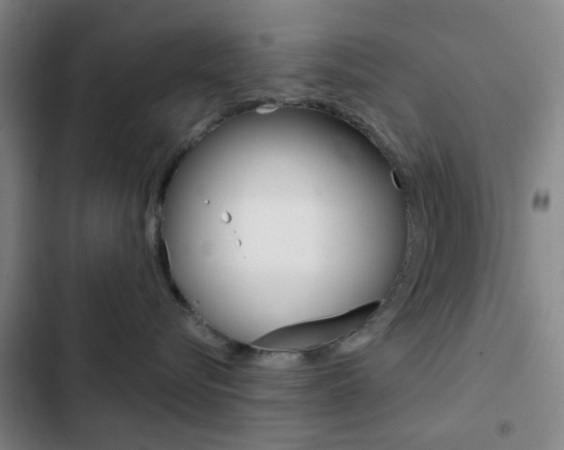X0000103260576200808291045