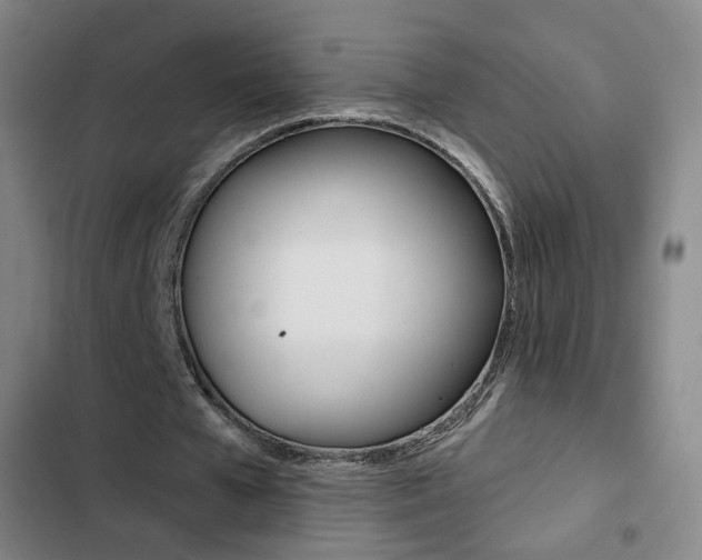 X0000103260577200808291045