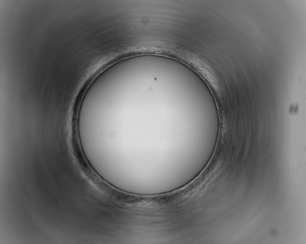 X0000103260578200808291045