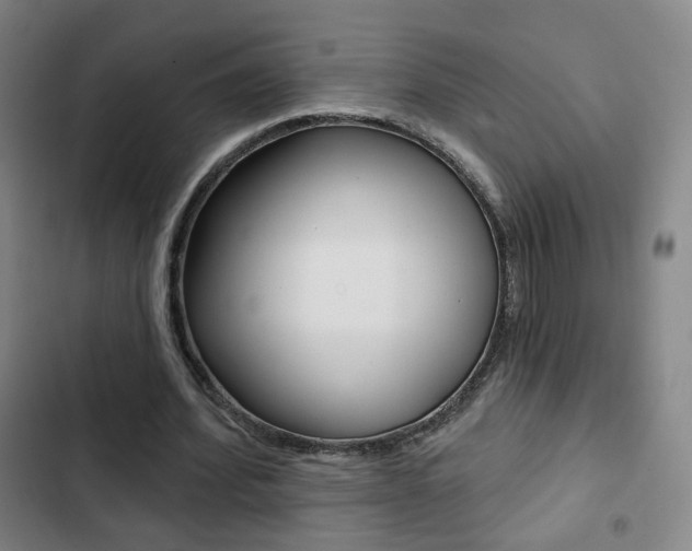 X0000103260580200808291045