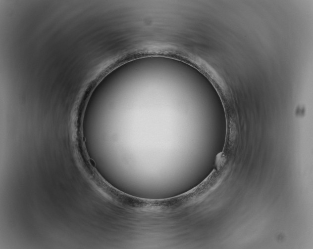 X0000103260581200808291045