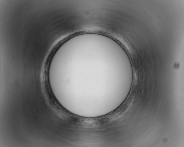 X0000103260583200808291045