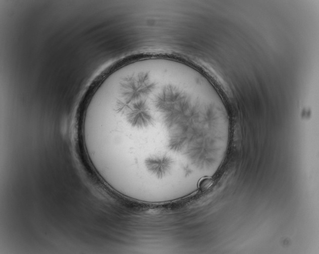 X0000103260584200808291045