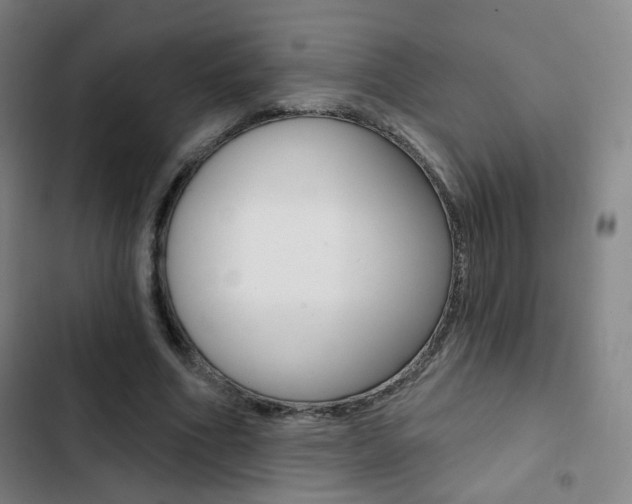 X0000103260586200808291045