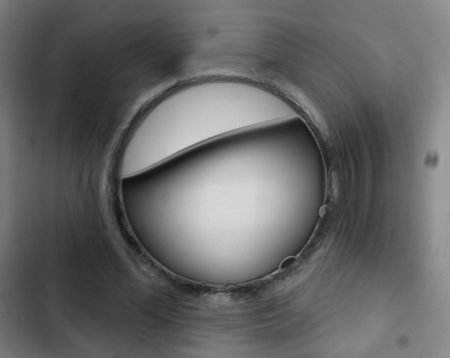 X0000103260588200808291044