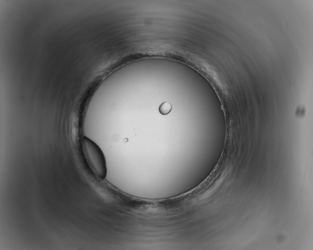X0000103260589200808291044