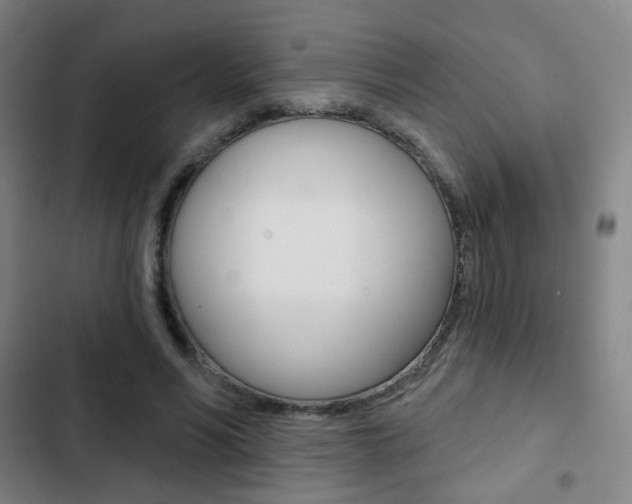 X0000103260590200808291044