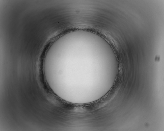 X0000103260591200808291044