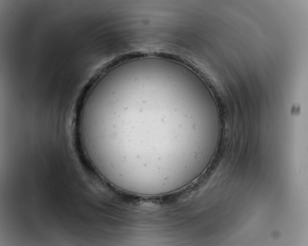 X0000103260592200808291044