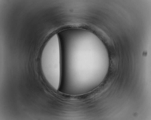 X0000103260596200808291044