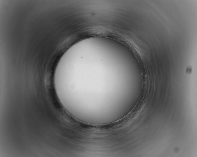 X0000103260597200808291044