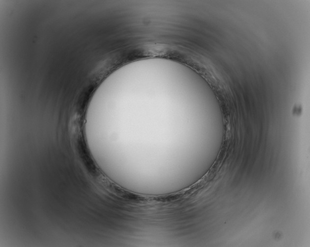 X0000103260598200808291044