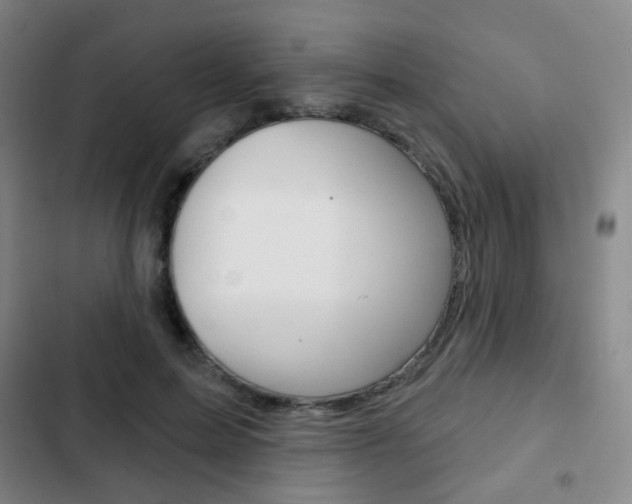 X0000103260599200808291044